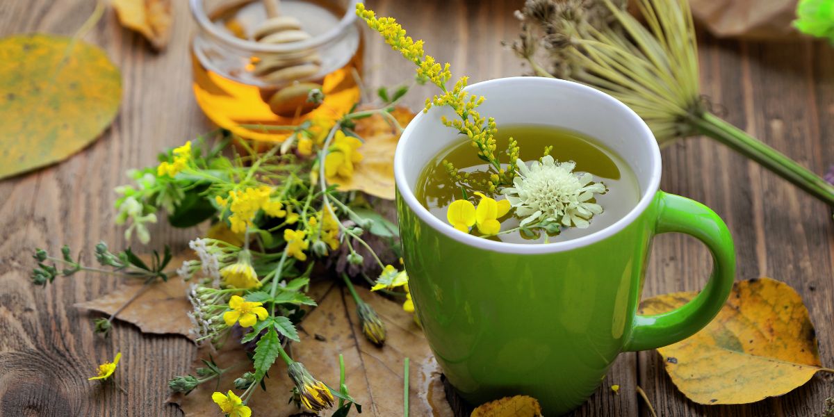 Các loại đồ uống tăng cường hệ miễn dịch - Khám Phá Những Thức Uống Bổ Dưỡng Tạo Nên Sức Khỏe Vững Bền